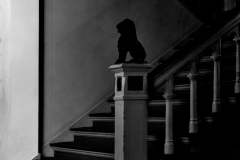 Lion's Staircase